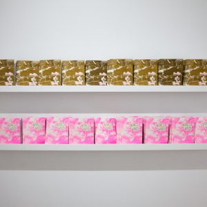 Two rows of zines organized by color against a white gallery wall. Top row is gold, bottom row is hot pink.